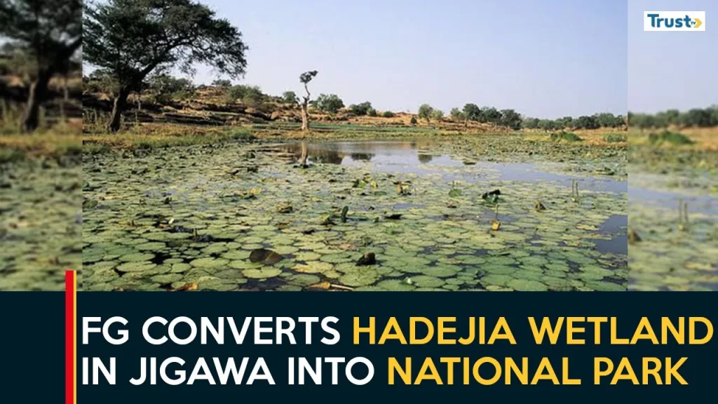 FG converts Hadejia Wetland in Jigawa into a national park