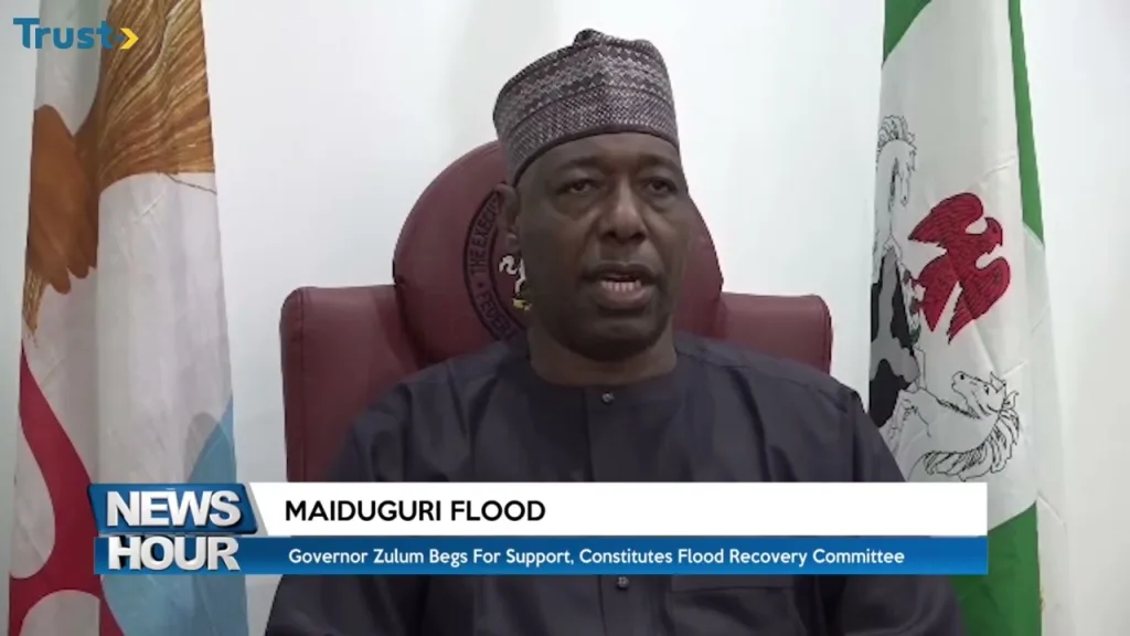 Governor Zulum begs for support, constitutes flood recovery committee