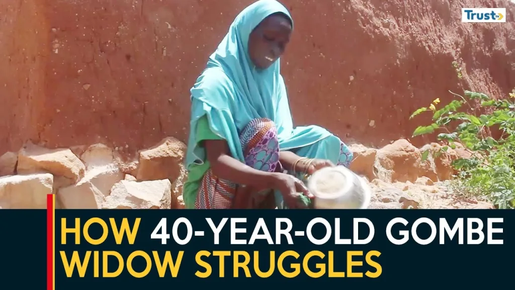 How 40-year-old Gombe widow struggles to feed 10 children amidst biting hardship