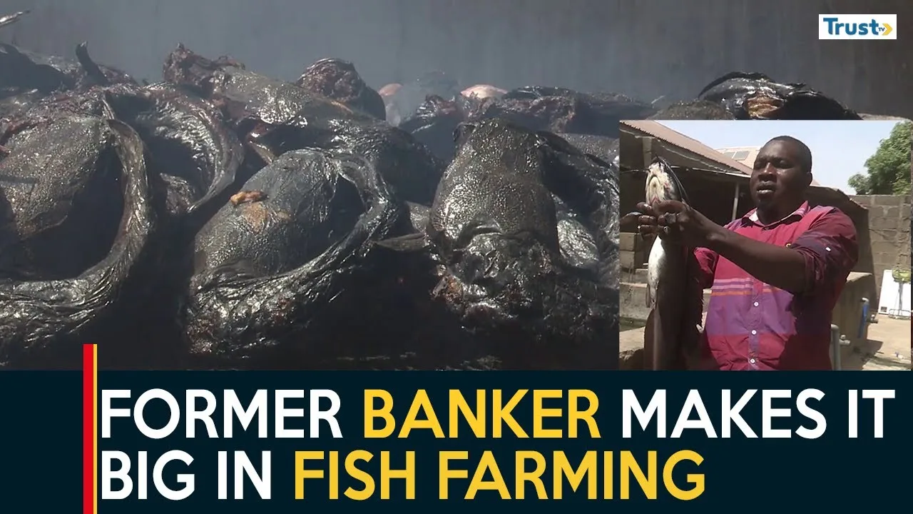 From Banking To Breeding: How one man’s leap into fish farming redefined success