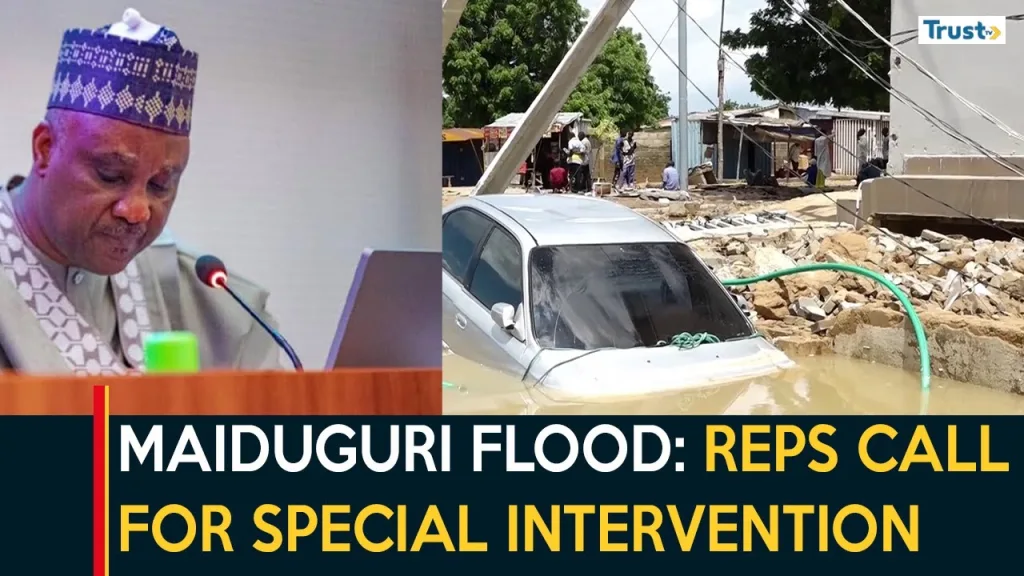 Maiduguri Flood: Reps call for special intervention fund to assist victims