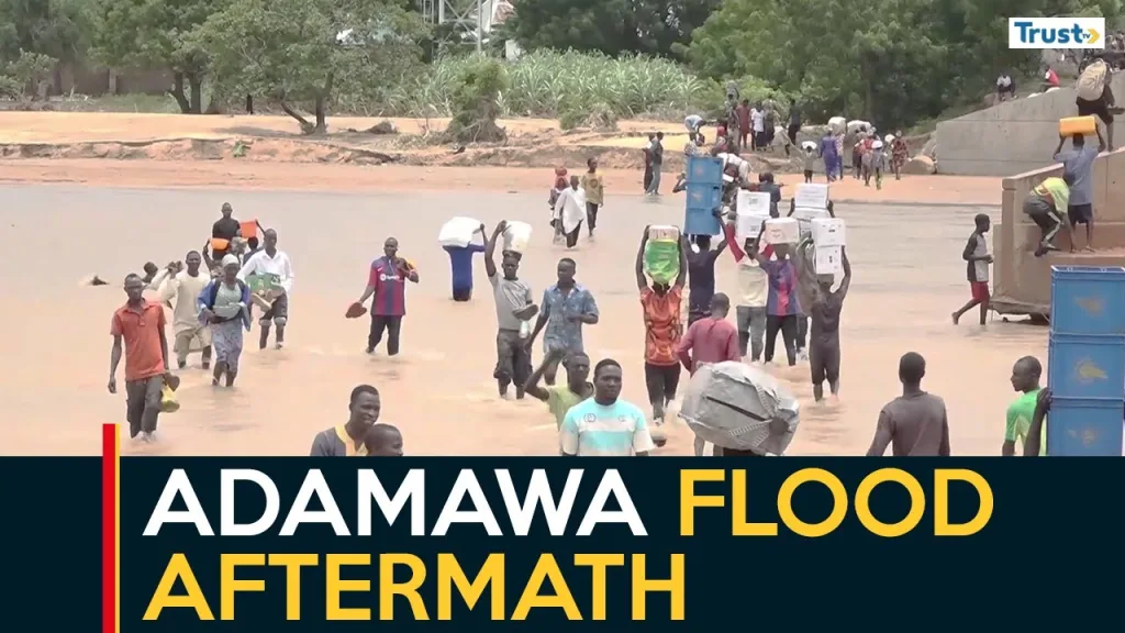 Adamawa Flood Aftermath: Communities decry impact as support trickles in