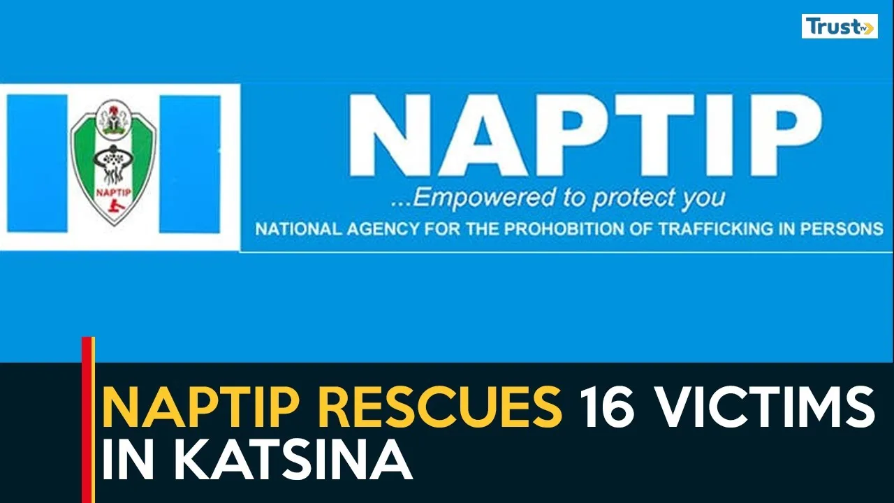 Curbing Child Labour: NAPTIP rescues 16 victims in Katsina