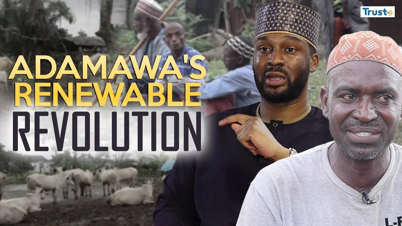 Adamawa’s renewable revolution