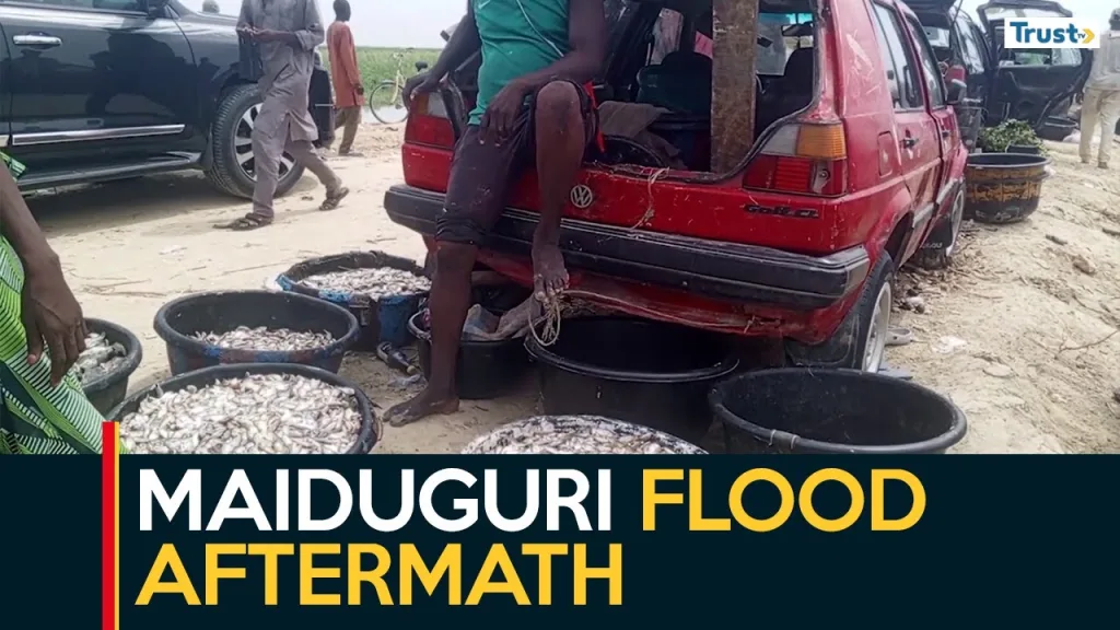 Maiduguri Flood Aftermath: NEDC calls for review of Alau Dam collapse