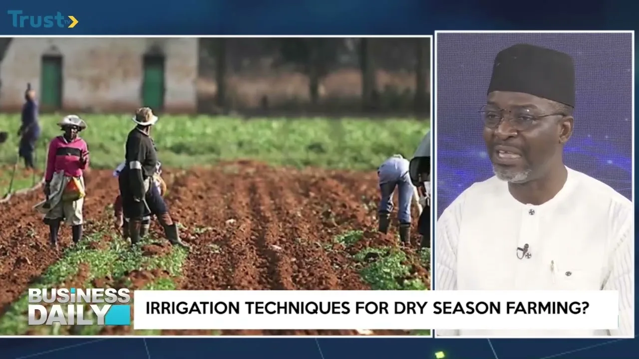 Boosting dry season farming in Nigeria