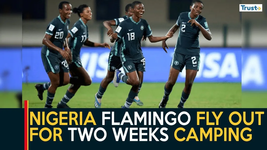 Nigeria flamingo fly out for two weeks camping + more stories