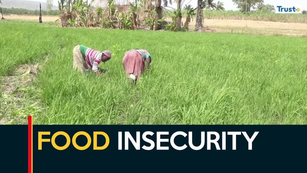 Food Insecurity: Stakeholders urge innovative governance model to end menace