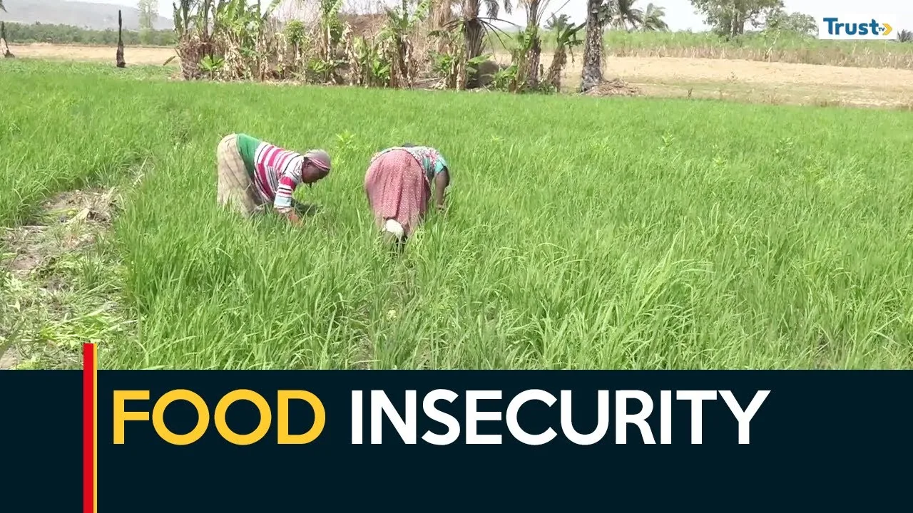 Food Insecurity: Stakeholders urge innovative governance model to end menace