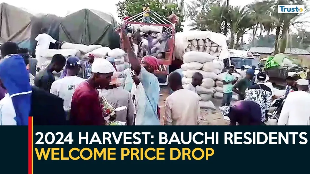 2024 Harvest: Bauchi residents welcome price drop, urge stability in weeks ahead