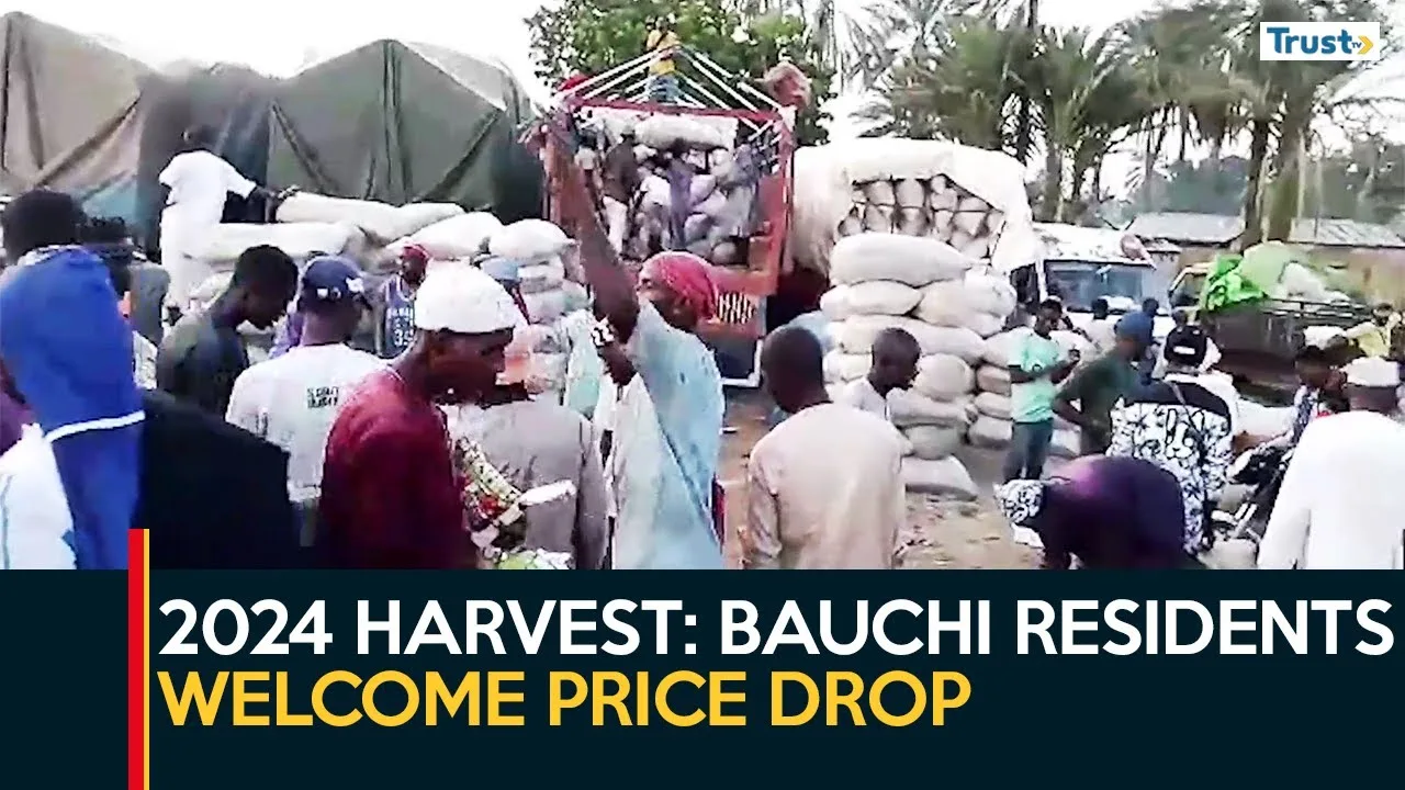 2024 Harvest: Bauchi residents welcome price drop, urge stability in weeks ahead