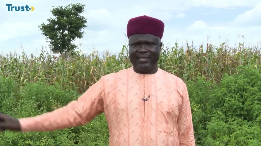 Effects of inflation on agribusiness
