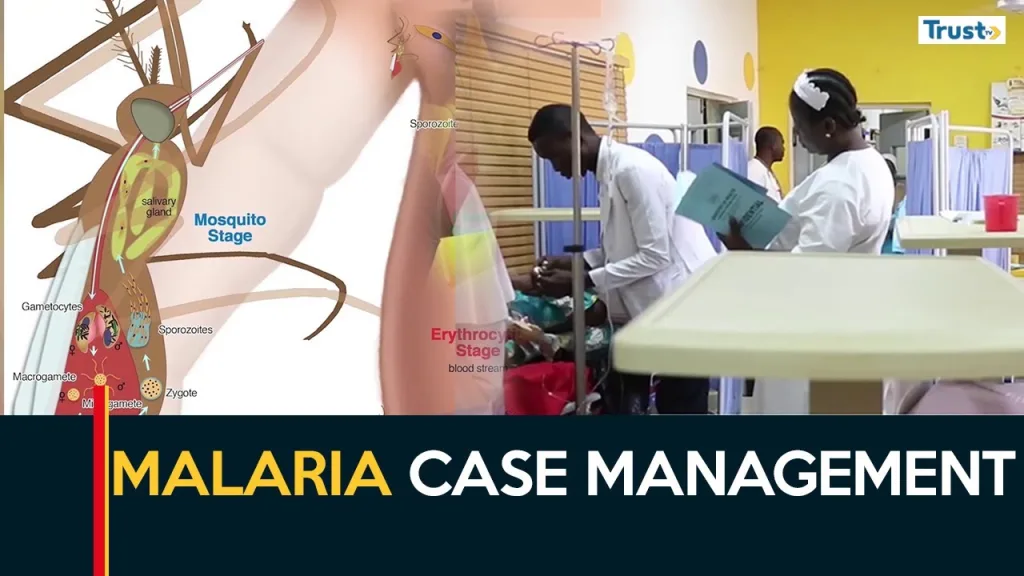 Malaria Case Management: National program urges proper use of medications
