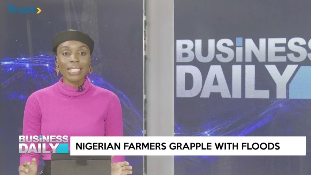 Nigerian farmers grapple with floods