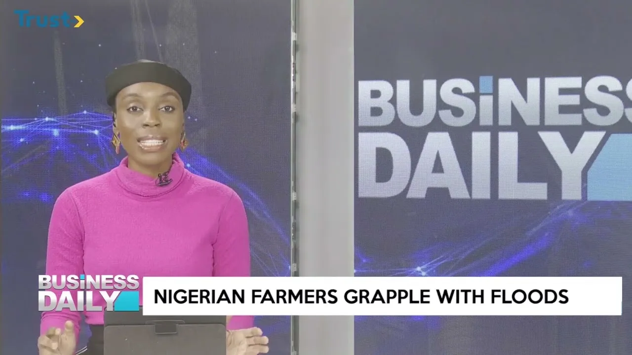 Nigerian farmers grapple with floods
