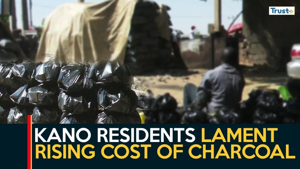 Kano residents lament rising cost of charcoal for households and businesses