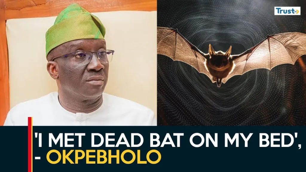‘I met a dead bat on my bed’, Okpebholo narrates how he won Edo guber poll + more trends