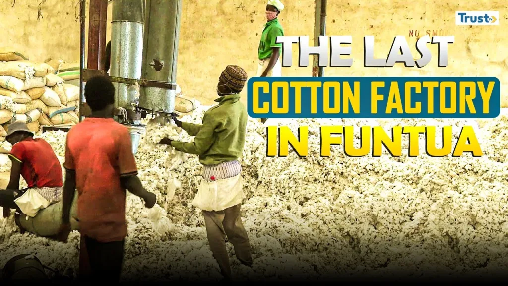 The last cotton factory in Funtua
