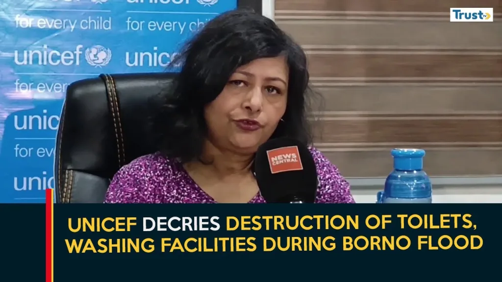 2024 Toilet Day: UNICEF decries destruction of toilets, washing facilities during Borno flood