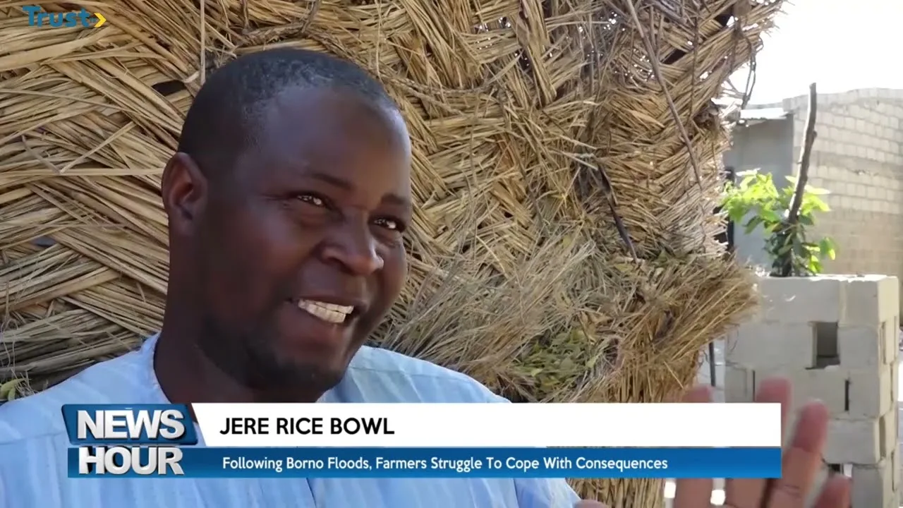 Jere Rice Bowl: Following Borno floods, farmers struggle to cope with consequences