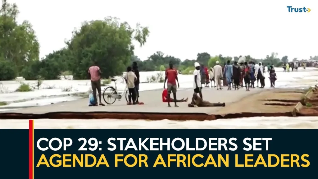 COP 29: Stakeholders set agenda for African leaders