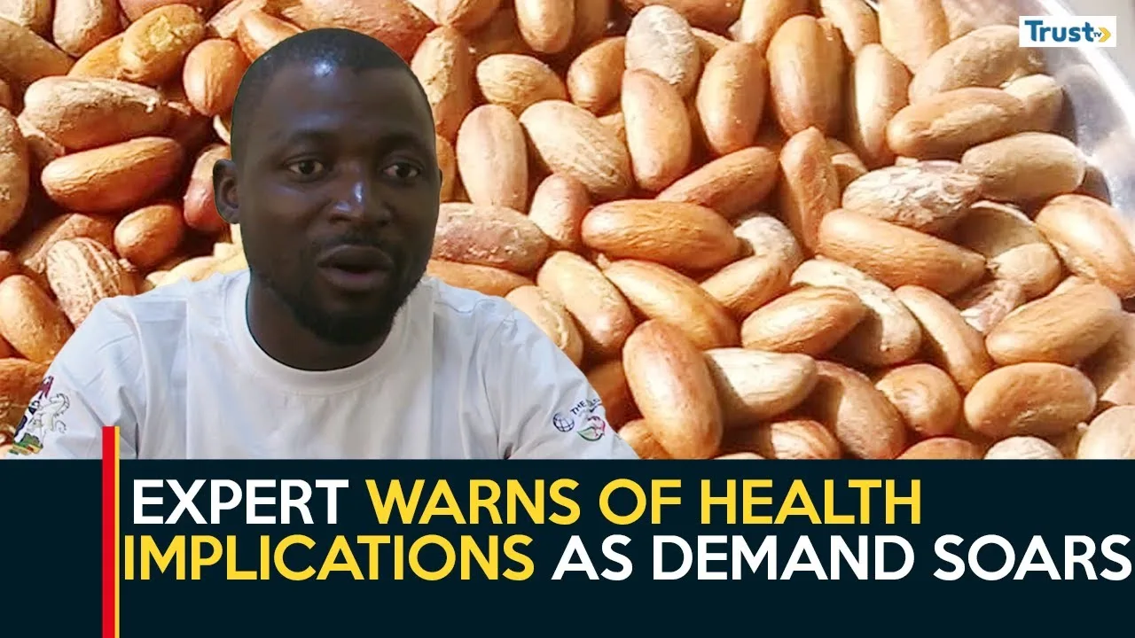 Bitter Kola Consumption: Expert warns of health implications as demand soars