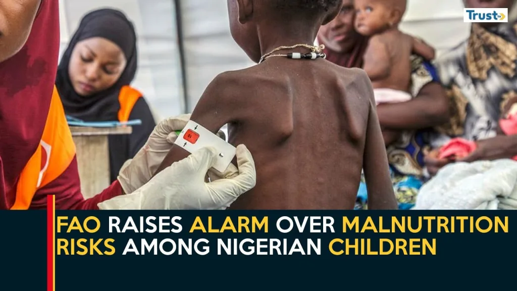 Borno Flood Aftermath: FAO raises alarm over malnutrition risks among Nigerian children