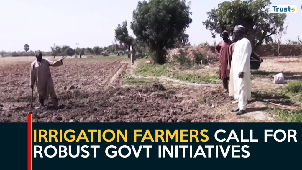 Katsina Agriculture: Irrigation farmers call for robust government initiatives, investments