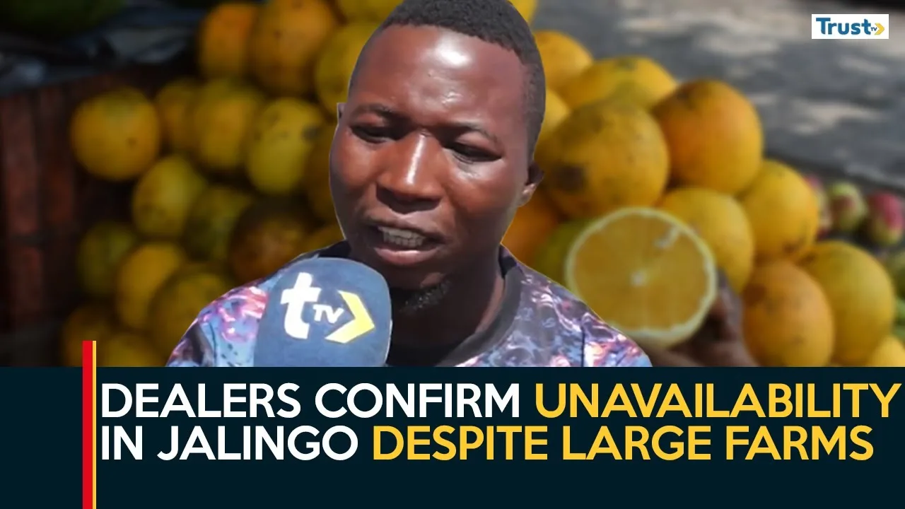 Tangerine Scarcity: Dealers confirm unavailability in Jalingo despite large farms