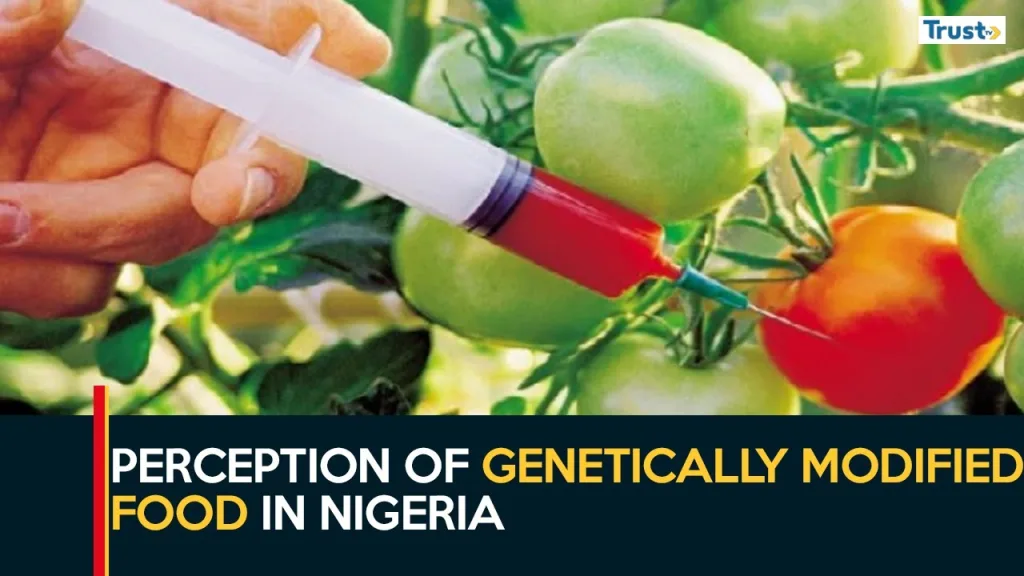 Perception of genetically modified food in Nigeria