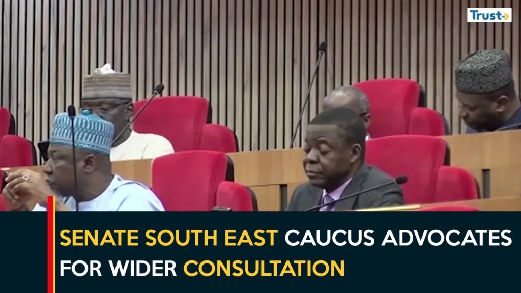 Tax Reform Bills: Senate south-east caucus advocates for wider consultation