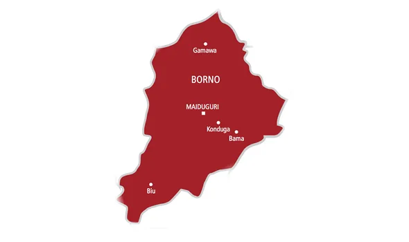 Borno to Provide Petrol at Subsidised Rate of N600 for Farmers Affected by Insurgency