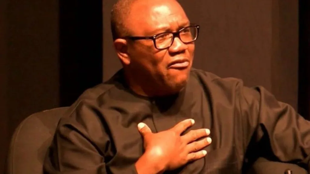 My Family is Under Attack, Peter Obi Alleges