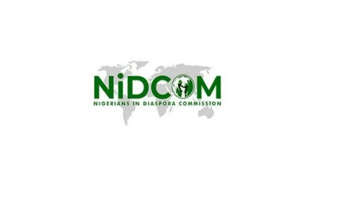 Nigerians Abroad Boost Economy with Over $90bn Remittances in Five Years – NiDCOM