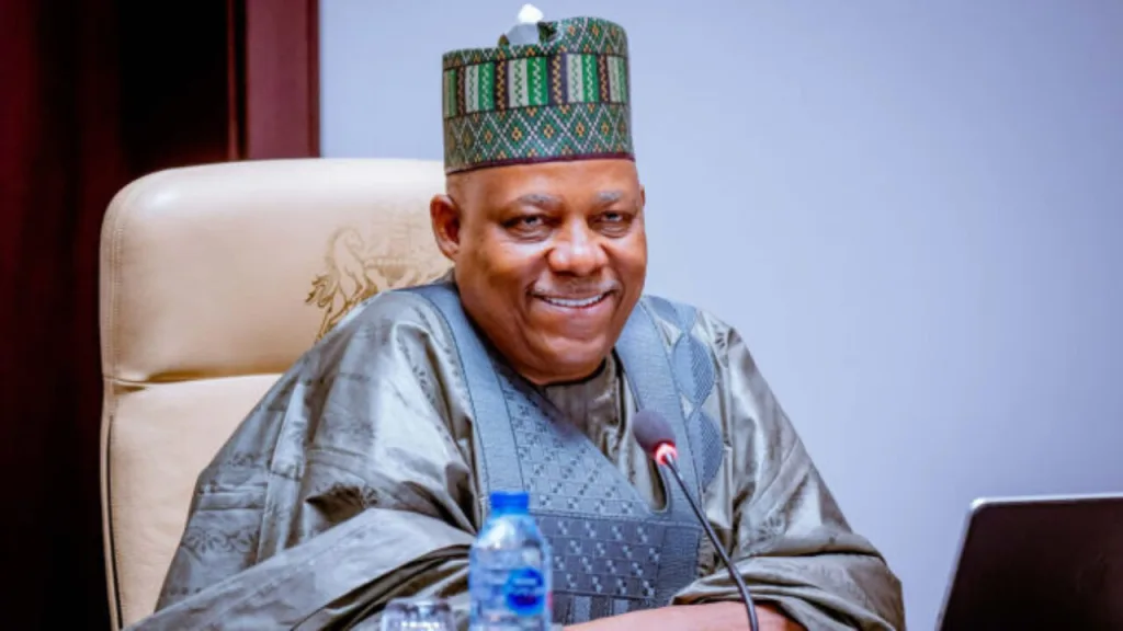 Nigerians Will Smile in 2025, Says Shettima