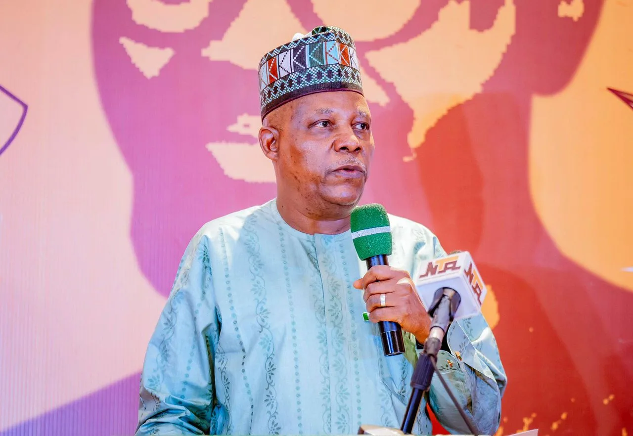 Shettima: Power Infrastructure Attacks Now a National Emergency