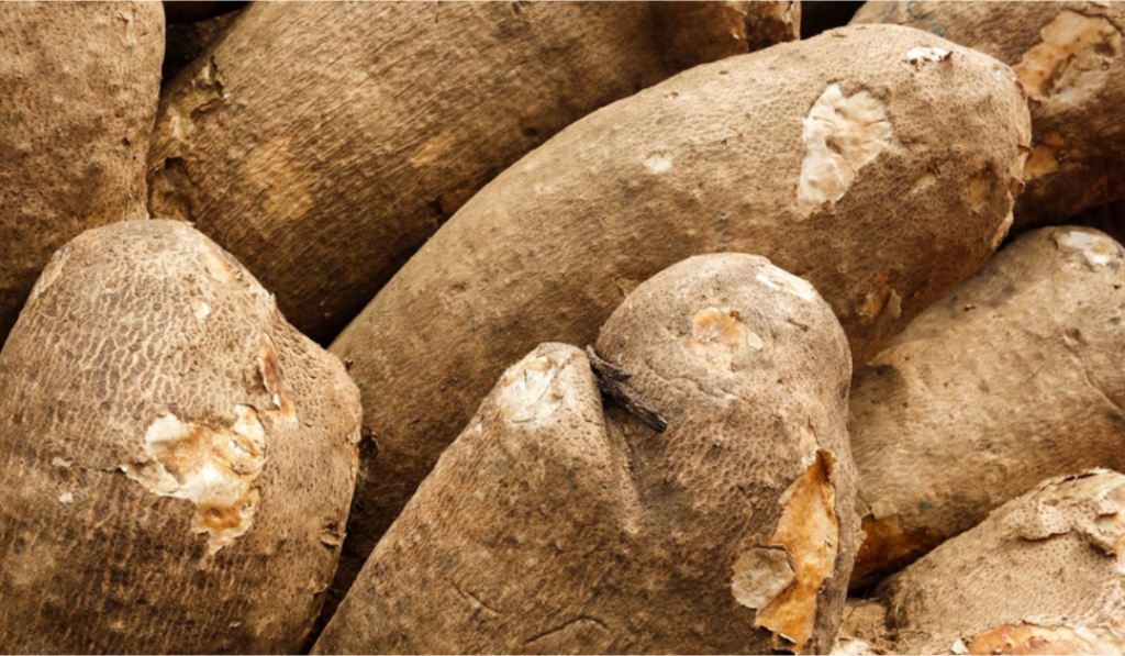 Woman, 30, Remanded for Alleged Theft of N100,000 Worth of Yam