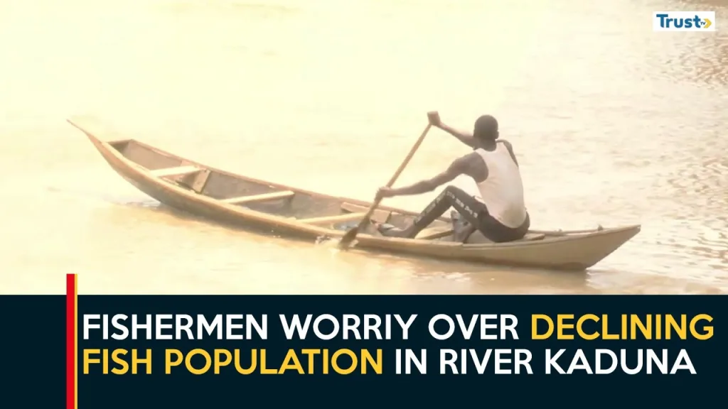 Local fishermen express worries over declining fish population in River Kaduna