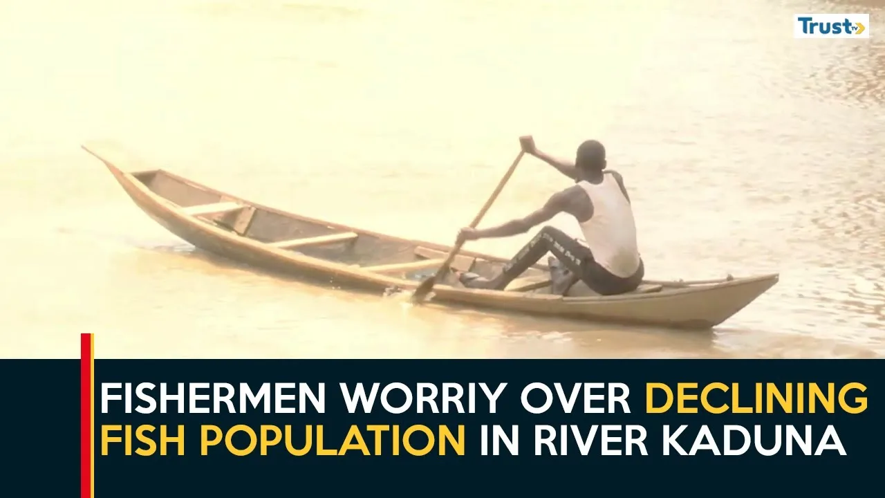 Local fishermen express worries over declining fish population in River Kaduna