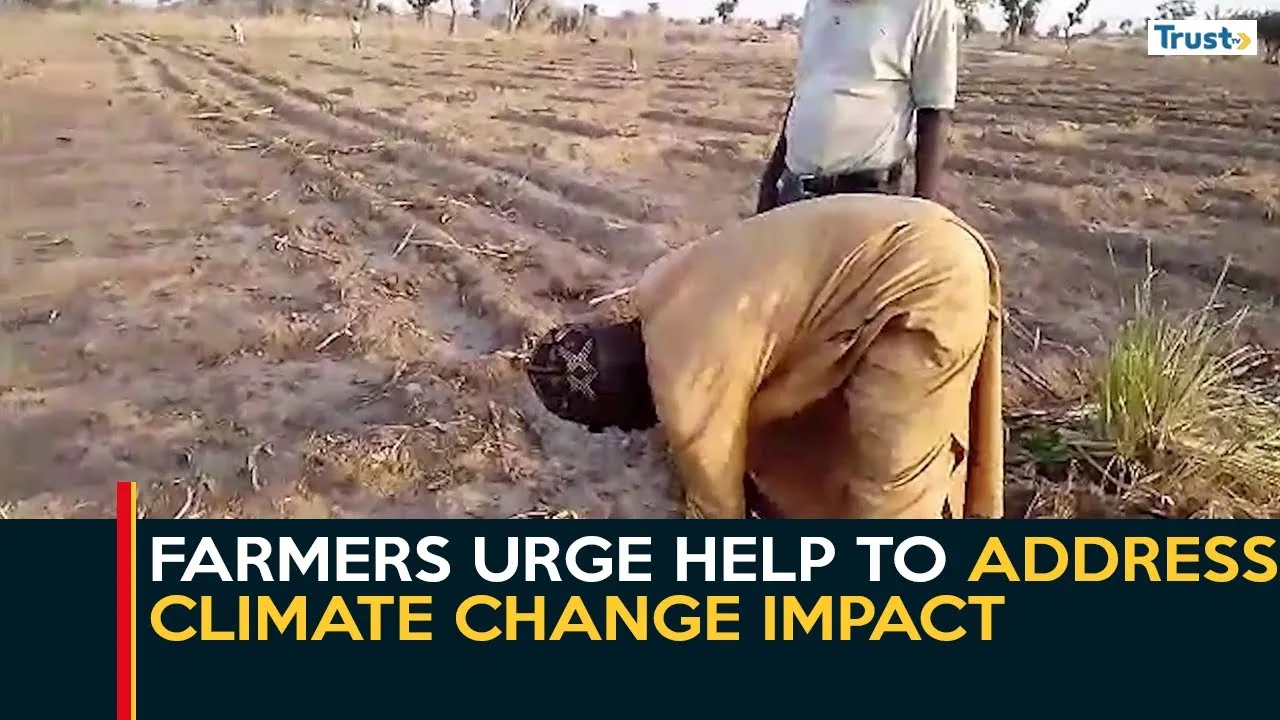 Bauchi Agriculture: Farmers urge help to address climate change impact