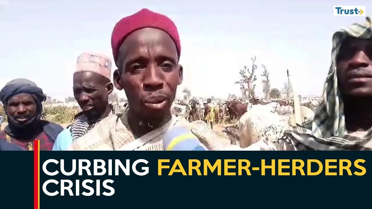 Curbing Farmer-Herders Crisis: Bauchi Fulani groups urge more earth dams on cattle routes