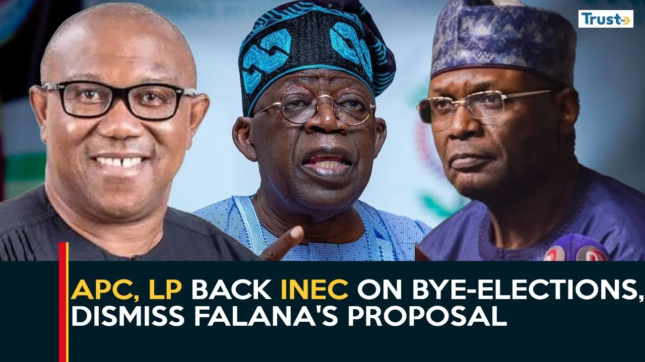 APC, LP back INEC on by-elections, dismiss Falana’s proposal + more