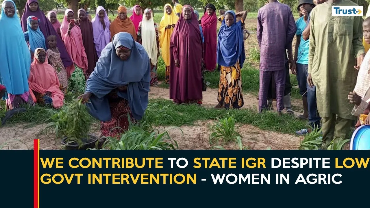 Jigawa Economy: We contribute to state IGR despite low govt intervention – Women in agric