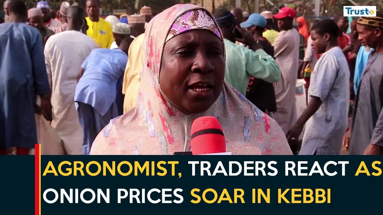 Agronomist, traders react as onion prices soar in Kebbi