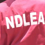 NDLEA busts drug shipment, seizes 1,633kg skunk in Ondo