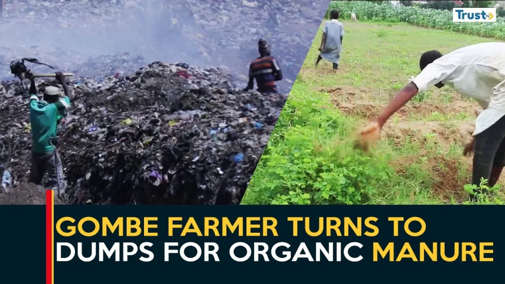 Fertilizer Prices Soar: Gombe farmer turns to dumps for organic manure