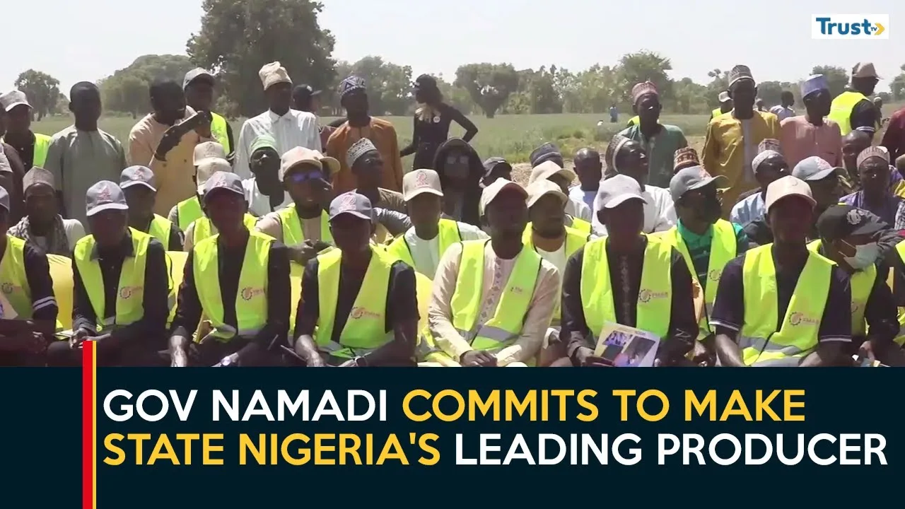 Jigawa Wheat Cultivation: Governor Namadi commits to make state Nigeria’s leading producer