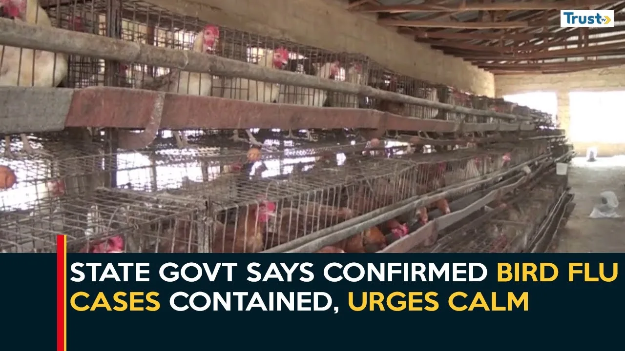Katsina Healthcare: State govt says confirmed Bird Flu cases contained, urges calm