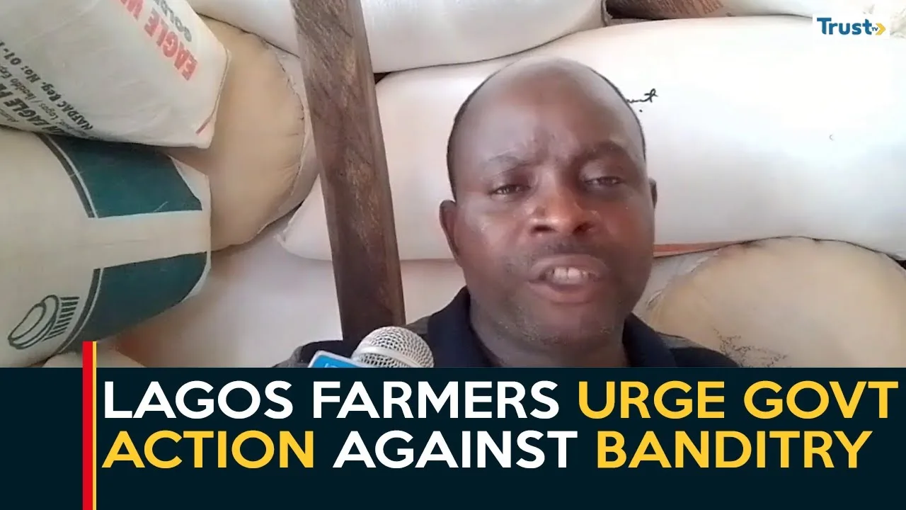 Addressing Food Insecurity: Lagos farmers urge govt action against banditry