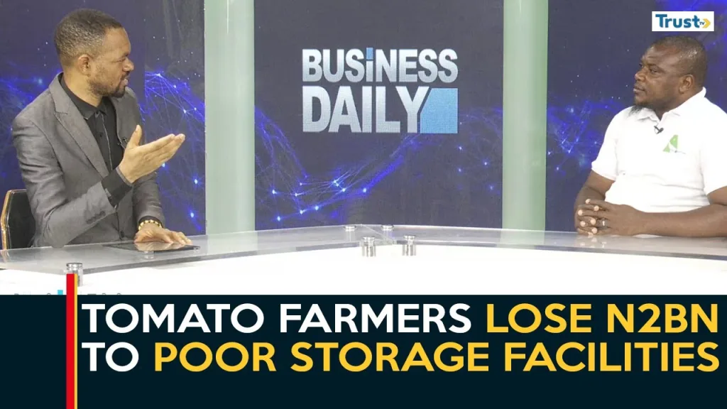 Tomato farmers lose N2bn to poor storage facilities amid bumper harvest